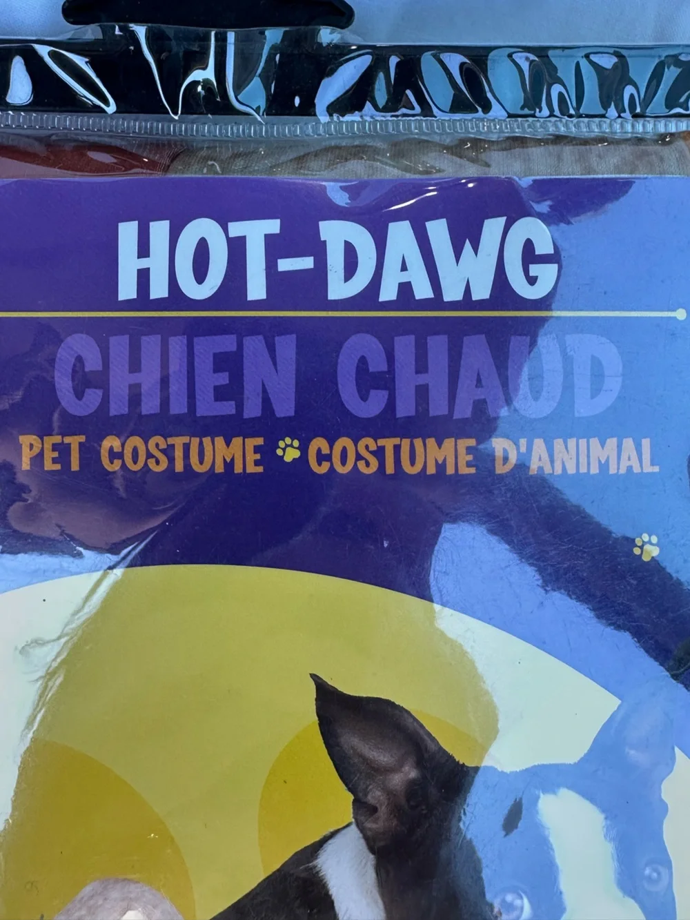 Fun World Paw Prints 